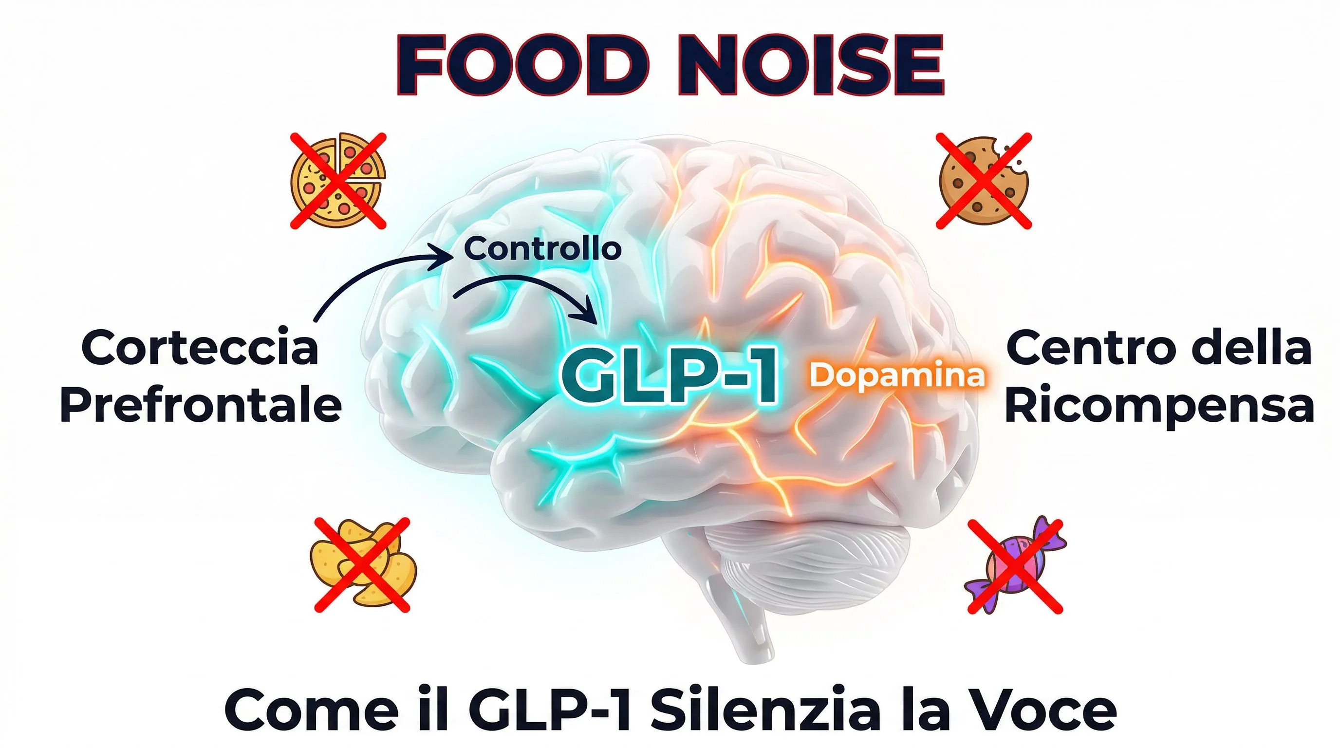 Infografica food noise e cervello: come GLP-1 silenzia le voglie